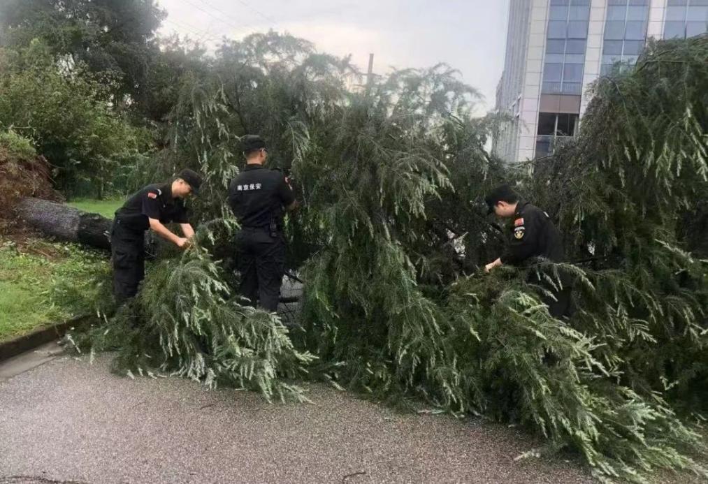 C:/Users/BA/Desktop/風雨過后南京保安迅速行動，恢復安“寧”面貌/1.jpg1